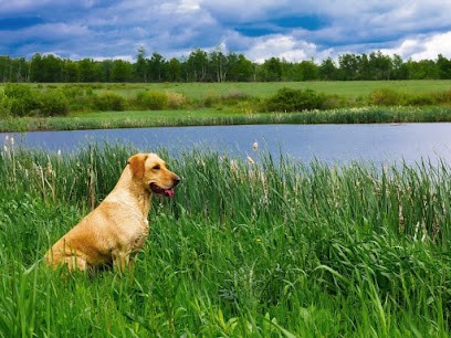 Salon De Toilettage Natur'O Pattes, Toiletteur pour Animaux à Préseau
