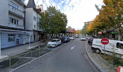 Dog Story, Toiletteur pour Animaux à La Roche-sur-Foron