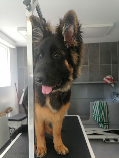 Au Jardin Canin, Toiletteur pour Animaux à Lacroix-Saint-Ouen