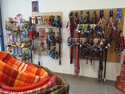 Toilet'au Poil, Toiletteur pour Animaux à Santa-Lucia-di-Moriani