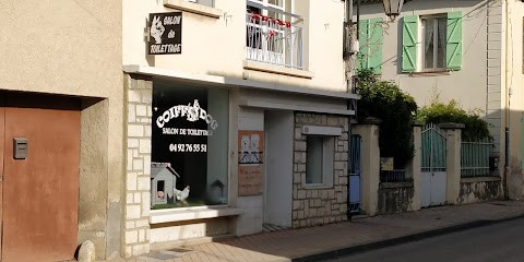 Coiff Dog, Toiletteur pour Animaux à Vinon-sur-Verdon