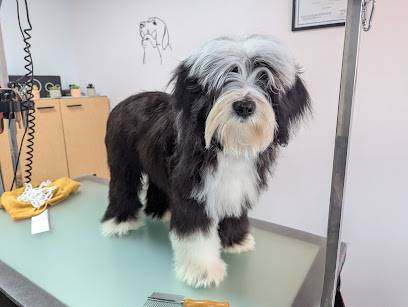 Sofie Toilettage, Toiletteur Pour Animaux à Mouilleron-le-Captif