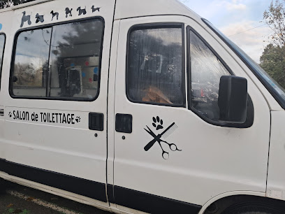 Ajaccio Cani Truck Camion De Toilettage Toiletteur Pour Animaux à Grosseto-Prugna