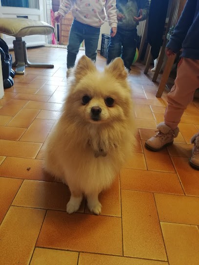 Coeur De Poils, Toiletteur pour Animaux à Manosque
