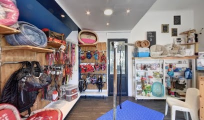 DOG ATTITUDE, Toiletteur pour Animaux à Pau