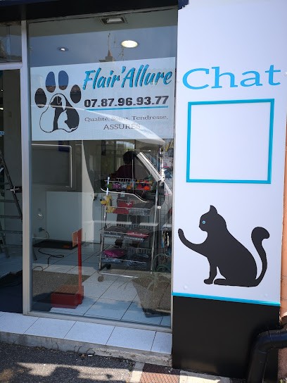 Flair'Allure, Toiletteur pour Animaux à Villeneuve-Tolosane