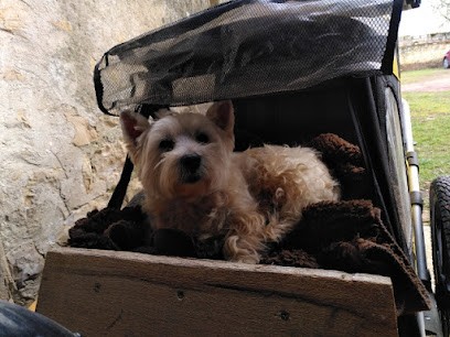 La Niche De Claudia, Toiletteur pour Animaux à Tronsanges