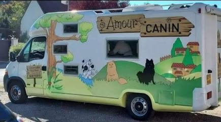 Amour Canin Toiletteur Pour Animaux à Rivesaltes