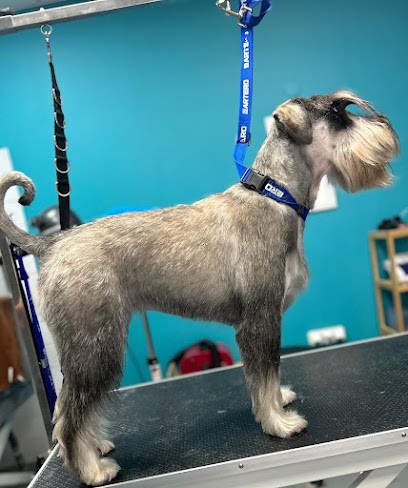 O'4 Pattes, Toiletteur pour Animaux à Parmain