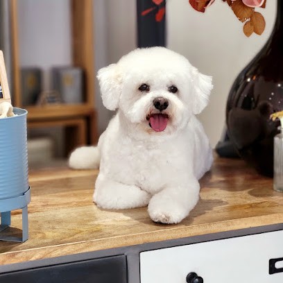 Toutou-Club, Toiletteur pour Animaux à Pont-Sainte-Maxence