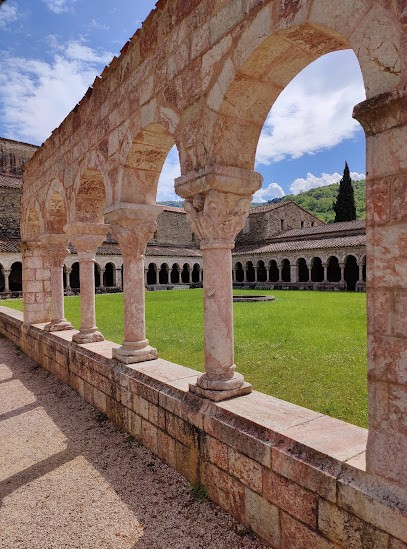 Dog Salon, Toiletteur pour Animaux à Ria-Sirach