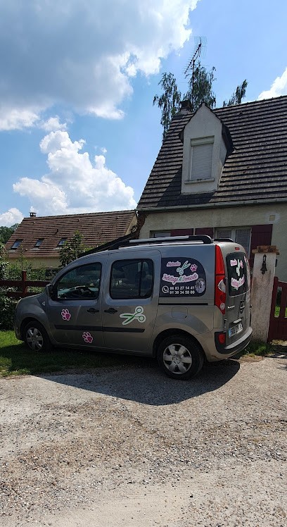 Natacha Toilettage, Toiletteur pour Animaux à Parmain