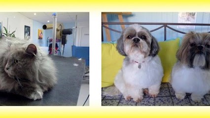 Au Toilettage Niortais, Toiletteur pour Animaux à Niort