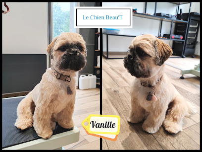 Le Chien Beau't, Toiletteur Pour Animaux à Jarménil