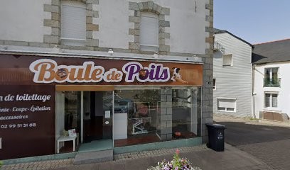 Boule De Poils, Toiletteur pour Animaux à Pipriac