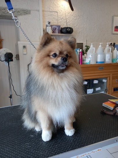 Atout Canin, Toiletteur pour Animaux à Moissac