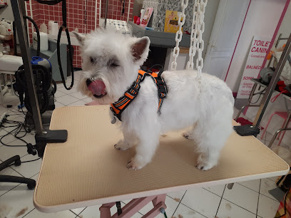 Cani'style Hygiène Et Soins, Toiletteur Pour Animaux à Val-de-Livenne
