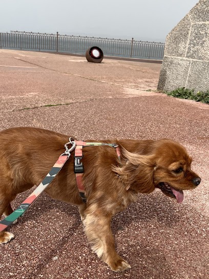 Le Chien Botté Toiletteur Marseille 13007, Toiletteur pour Animaux à Marseille 07
