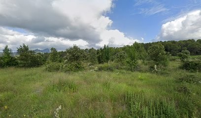 Le Styl Canin, Toiletteur pour Animaux à Saint-Mathieu-de-Tréviers