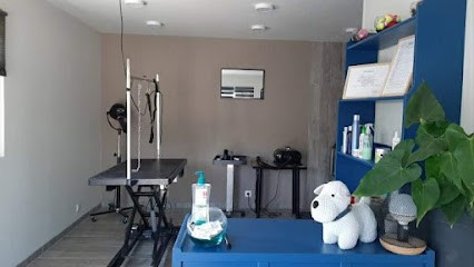 POILS AU VENT, Toiletteur pour Animaux à Junas