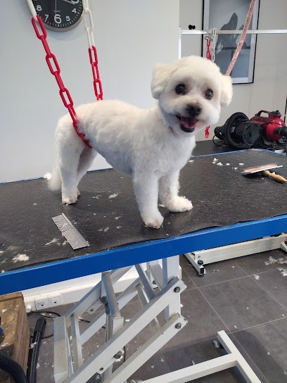 AU Fil DES NOEUDS, Toiletteur pour Animaux à Plaisir