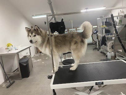 Emi Toilettage, Toiletteur pour Animaux à Trets