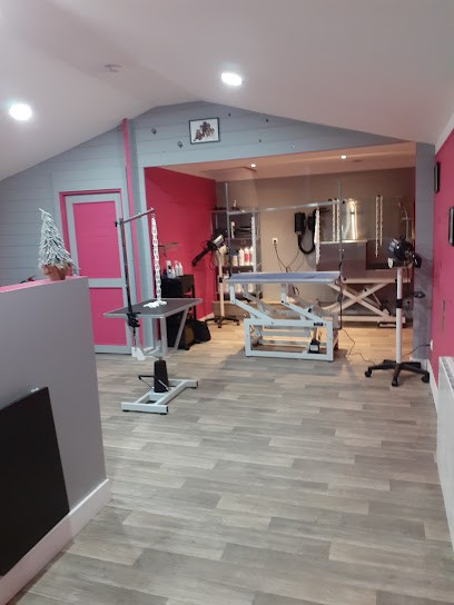 Salon De Toilettage Bel K'Ouaf, Toiletteur pour Animaux à Pernes