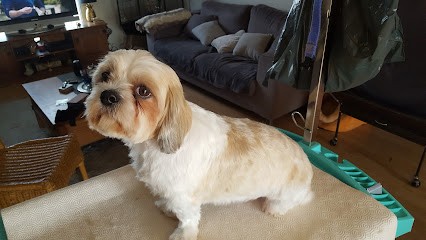 B.B.C TOILETTAGE CANIN ET FELIN, Toiletteur pour Animaux à Troarn