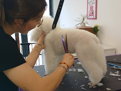 Mel'o Poil Toiletteur Pour Animaux à Argelès-sur-Mer