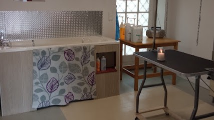 D'une Patte à L'autre, Toiletteur pour Animaux à Remouillé