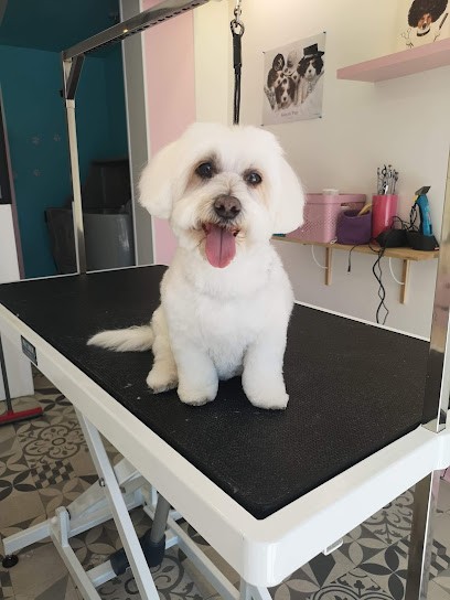 Scooby' Bulle, Toiletteur pour Animaux à Jugeals-Nazareth