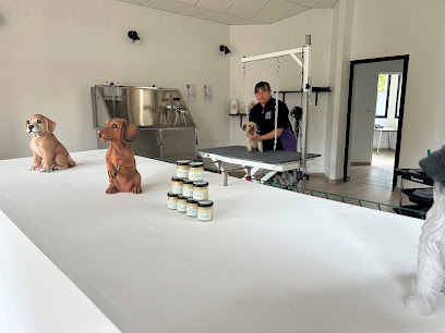 Les'ti Chiens Et Chats Toiletteur Pour Animaux à Saumur