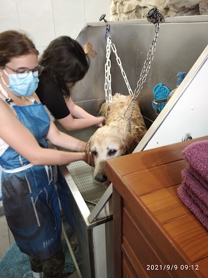 Lucie Toilettage Canin, Toiletteur pour Animaux à Milhaud