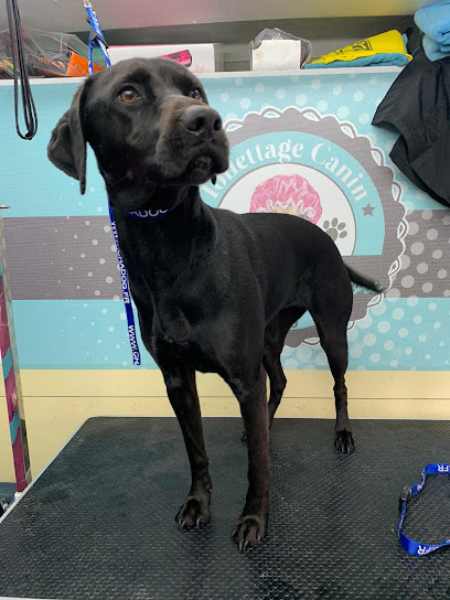 A L'eau Toutou Toiletteur Pour Animaux à Ricourt