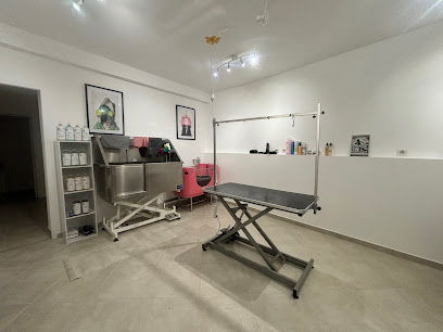 Le Muso Chic - Salon De Toilettage Et Bien-Être Pour Chiens - Le Muso Chic Toiletteur Pour Animaux à Clermont-l'Hérault