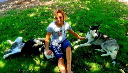 Au Paradis Canin, Toiletteur pour Animaux à La Jarrie