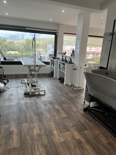 Toutou Bellu, Toiletteur pour Animaux à Porto-Vecchio