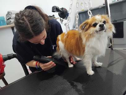 Canifélin Toilettage & Boutique, Toiletteur Pour Animaux à Voisins-le-Bretonneux