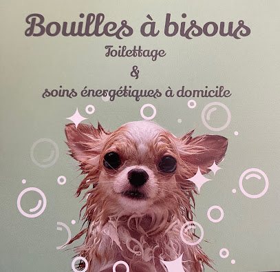 Bouilles À Bisous - Toilettage Et Soins Energétiques À Domicile Toiletteur Pour Animaux à Mours