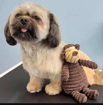 Lalou & Compagnie, Toiletteur pour Animaux à La Ferté Macé