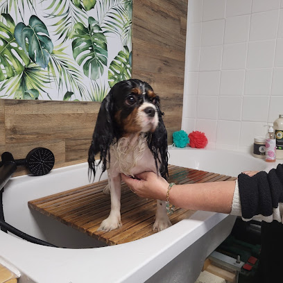Le Loft: H&D Toiletteur Pour Animaux à Asnières-sur-Seine