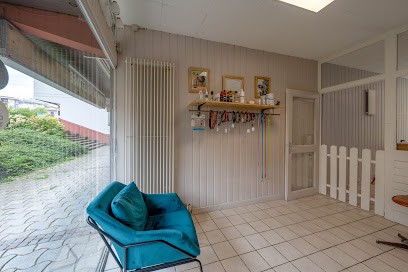 Manon And Co Toilettage Canin Et Félin Thonon, Toiletteur pour Animaux à Thonon-les-Bains