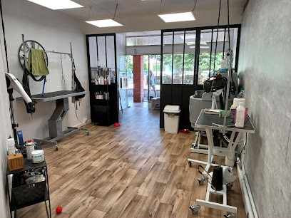 Lave ta patte - Salon de toilettage canin et félin, Toiletteur pour Animaux à Escalquens