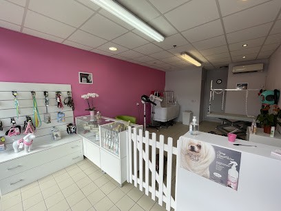 Belle Ou Clochard..., Toiletteur pour Animaux à Souillac