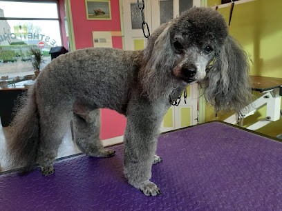 Esthéti'Chien, Toiletteur pour Animaux à Saint-Hilaire-du-Harcouët