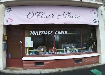 Õ flair allure, Toiletteur pour Animaux à Dozulé