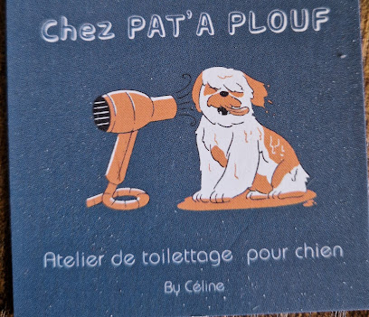 Salon Toilettage Pat'à Plouf Le Mayet De Montagne, Toiletteur Pour Animaux au Mayet-de-Montagne