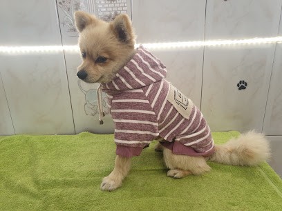 A Beauté Canine, Toiletteur pour Animaux à Lannemezan