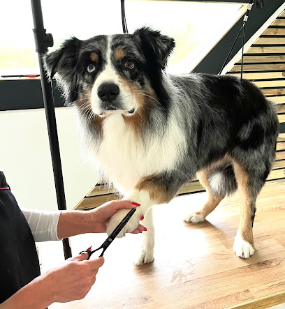 Doggy Coiff Toiletteur Pour Animaux à Fameck