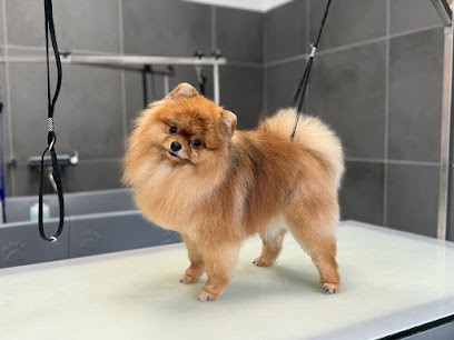 Ineskaniche, Toiletteur pour Animaux à Metz